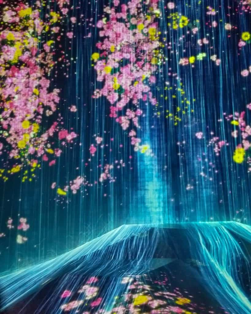 teamLab Borderless