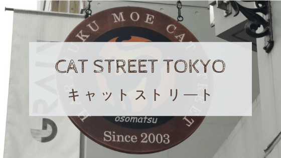 Cat Street キャットストリート in Tokyo