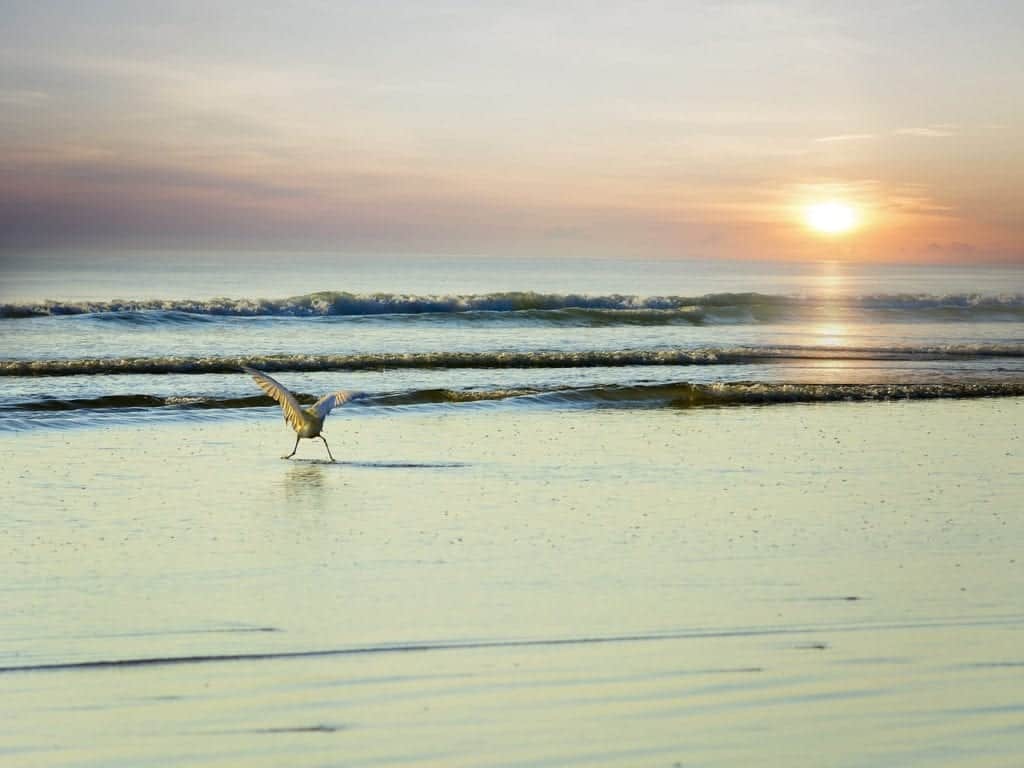 sun rising over the ocean