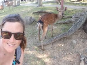 Feeding deer in Nara Japan