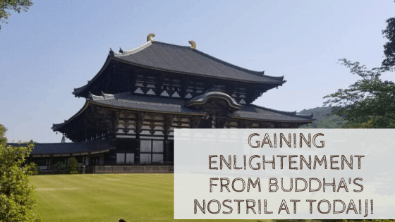 Gaining Enlightenment from Buddha's nostril at Todaiji