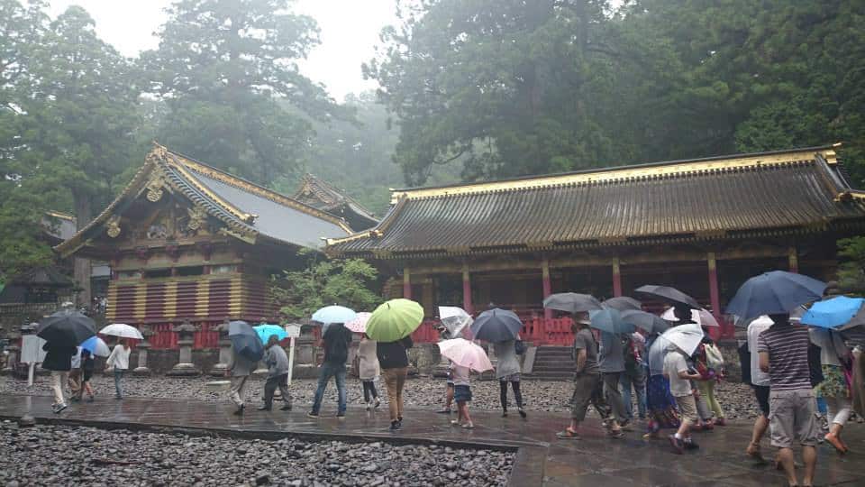 Rainy season in Japan with large group of people at a shrine with umbrellas