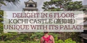 Delight in 6 Floor Kochi Castle Unique with its Palace