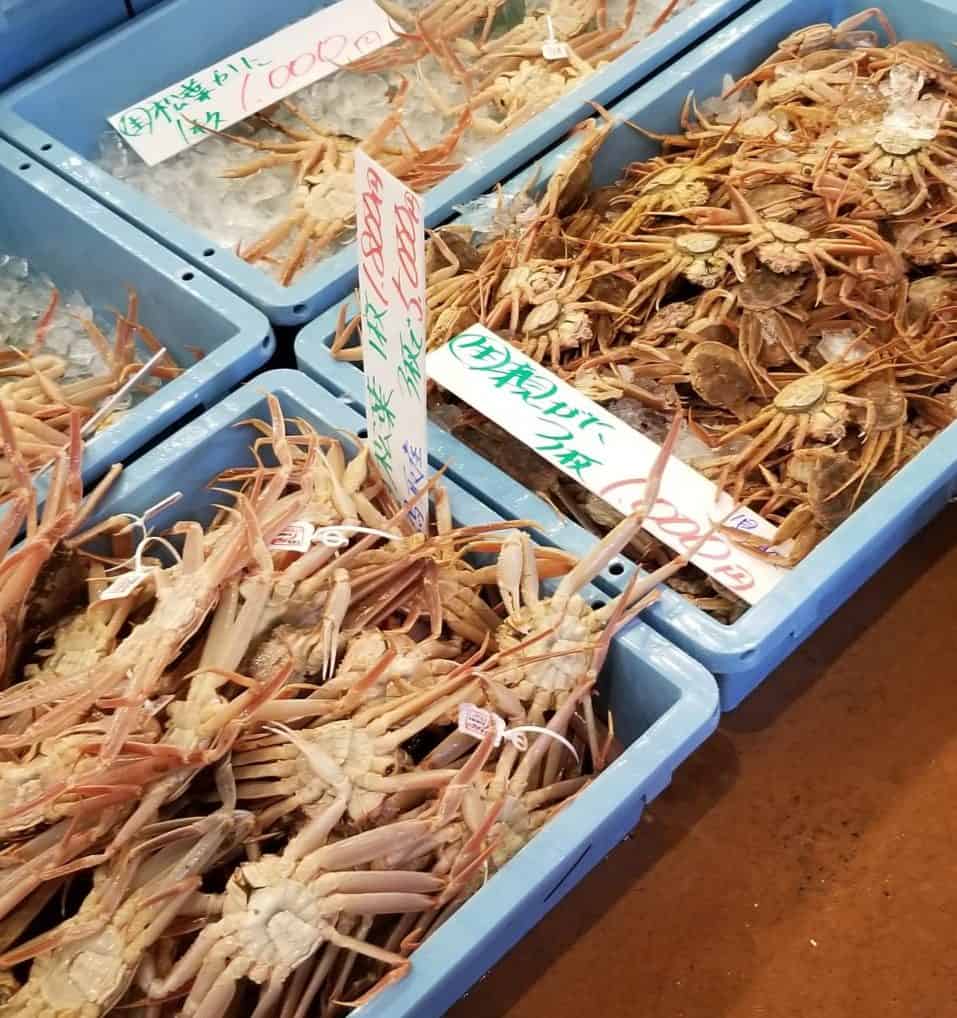 Cartons full of different sizes of Matsuba Crab at the Karoichi Fish Market in Tottori Japan