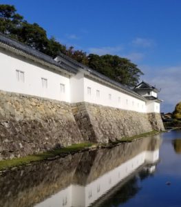 Hikone Castle Bailey Walls