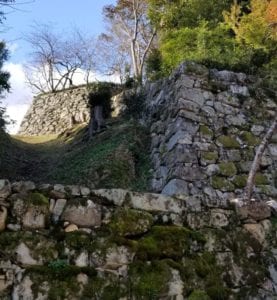 Hikone Castle Walls