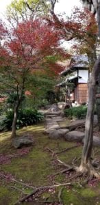 Kyu Asakura House with fall foliage