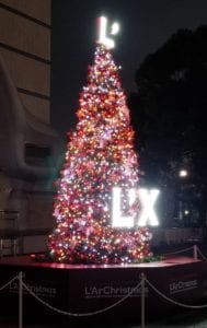 Winter Illuminations in Tokyo