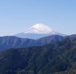 View of Snow Capped Mount Fuji from Hakone Hiking Trail