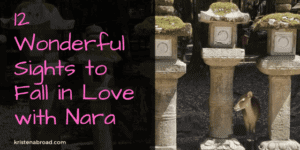 12 Wonderful Sights to Fall in Love with Nara