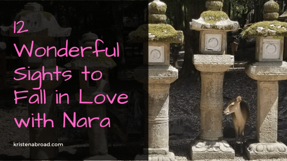 12 Wonderful Sights to Fall in Love with Nara