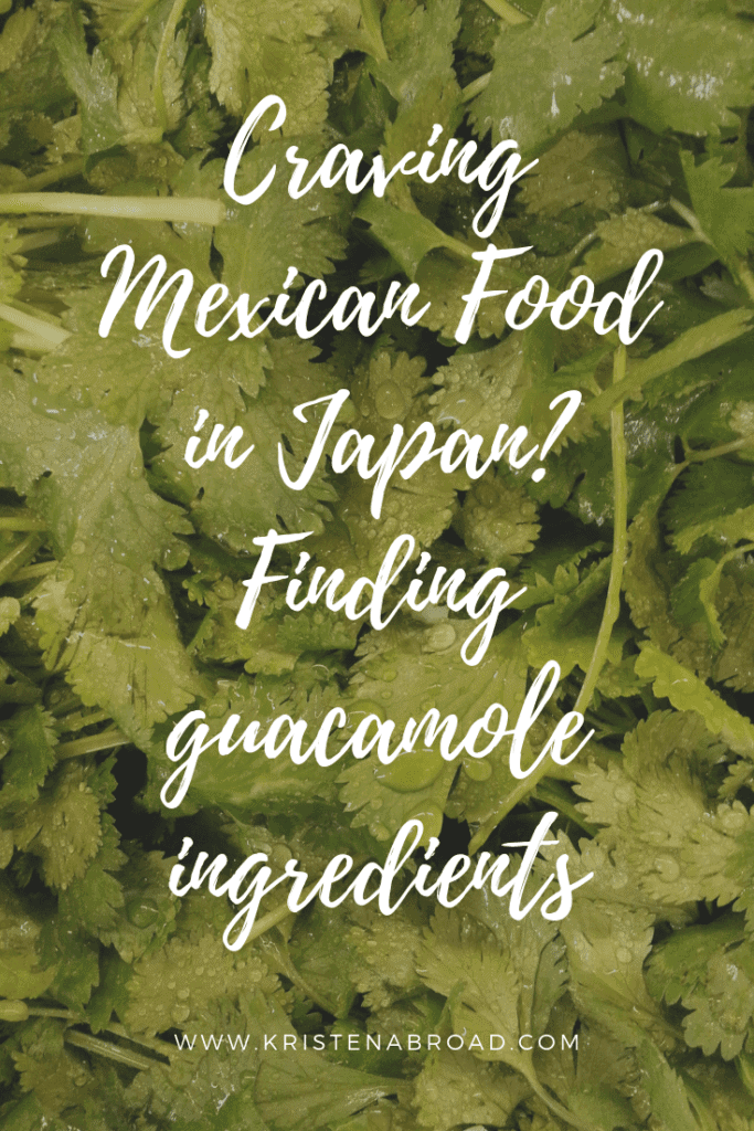 Craving Mexican Food in Japan? Finding guacamole ingredients in Japan