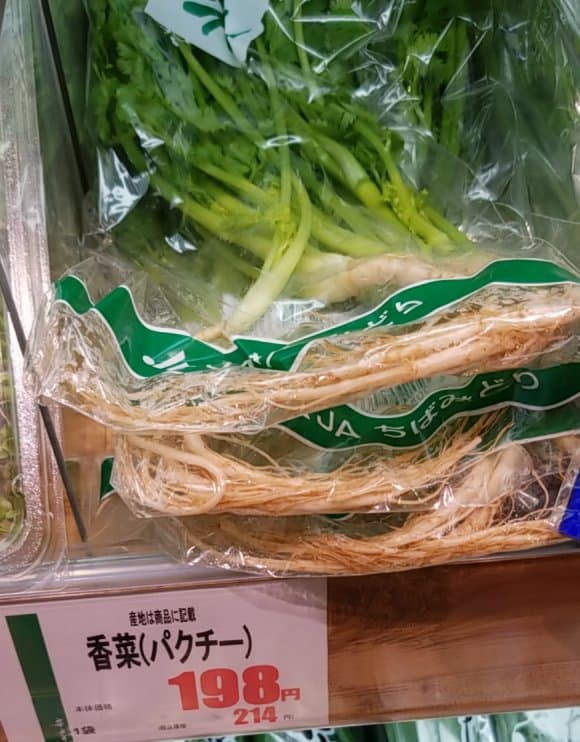 cilantro or pakuchi