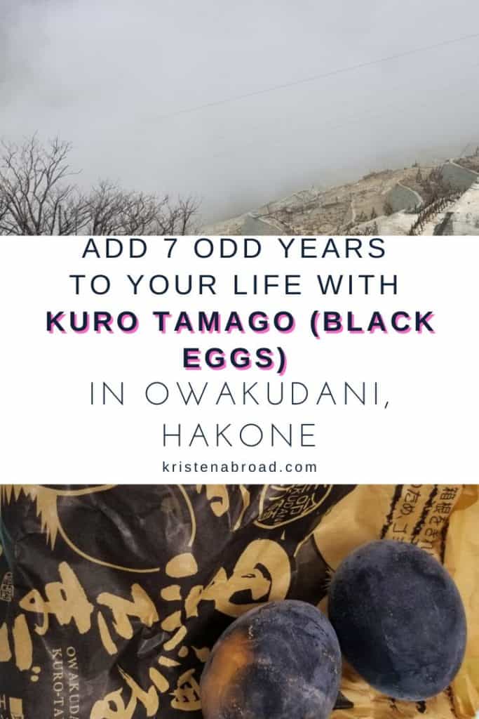 Add 7 odd years to your life with kuro tamago (black eggs) in Owakudani, Hakone, Japan