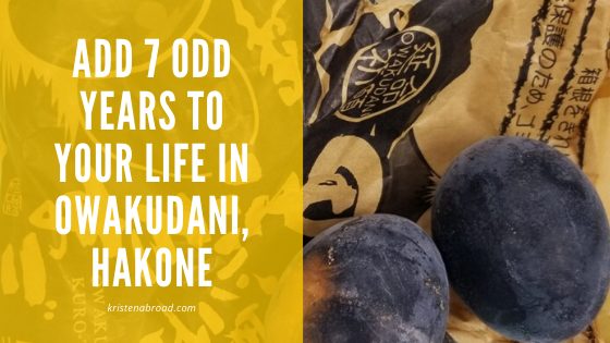 Add 7 Odd Years to Your Life in Owakadani, Hakone