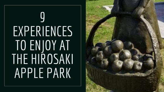 9 Experiences to Enjoy at the Hirosaki Apple Park