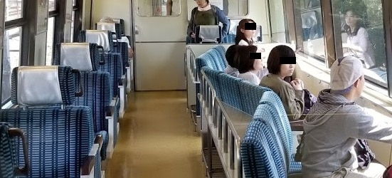 Izu Peninsula Side Facing Train for ocean views